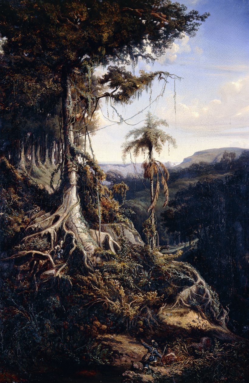 Forêt de Jala-Jala - Auguste Borget