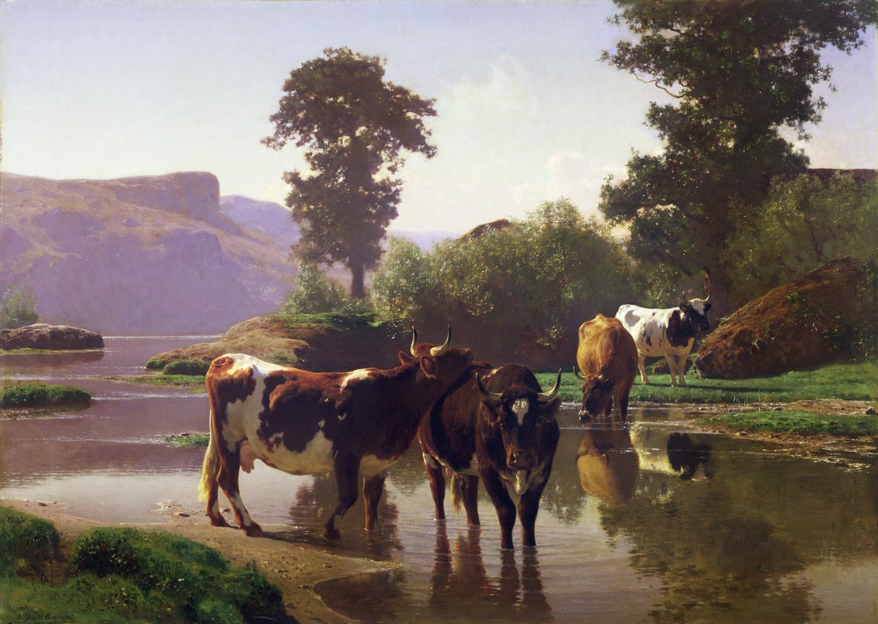 Bétail près d