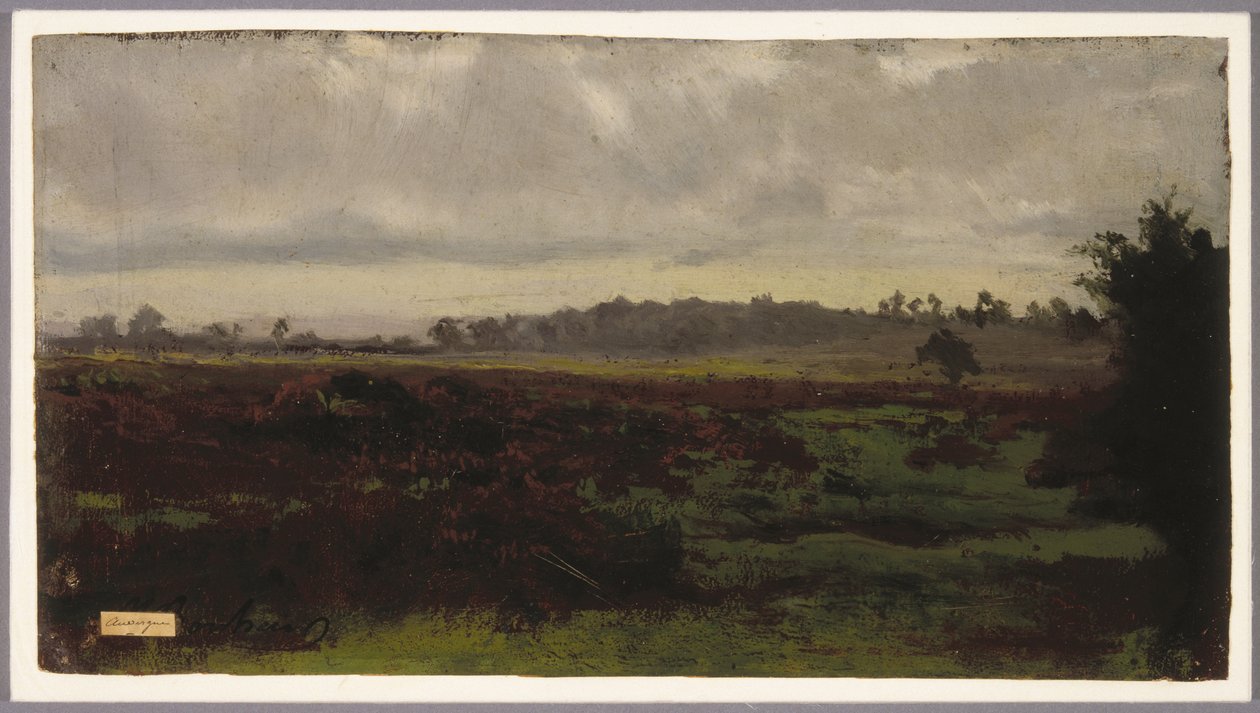 Marais, milieu des années 1850 - Auguste Francois Bonheur