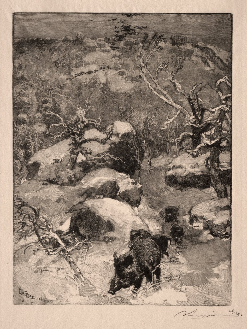 Roche Cuvier Chatillon, 1887 - Auguste Louis Lepère