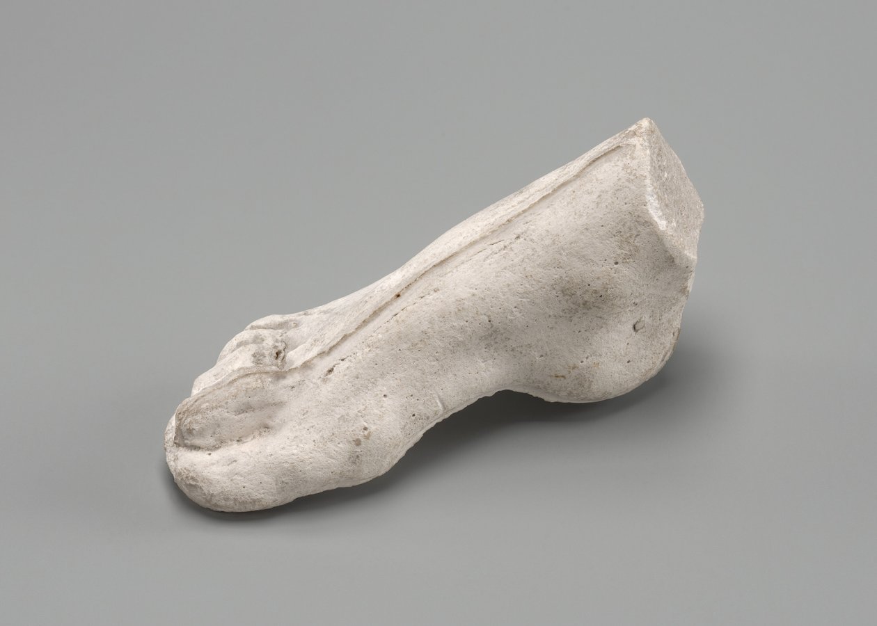Pied droit, possiblement 1880 - Auguste Rodin