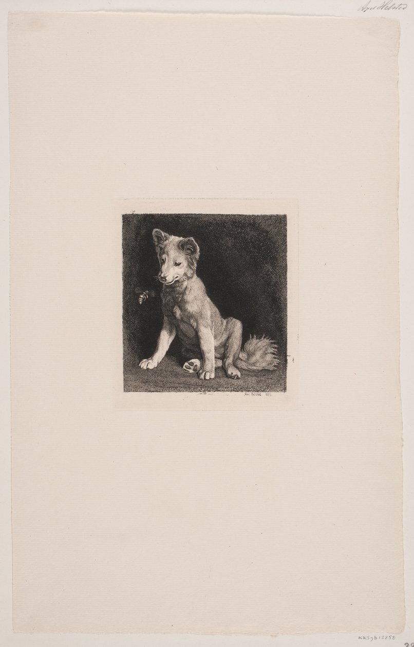 Le chien et l