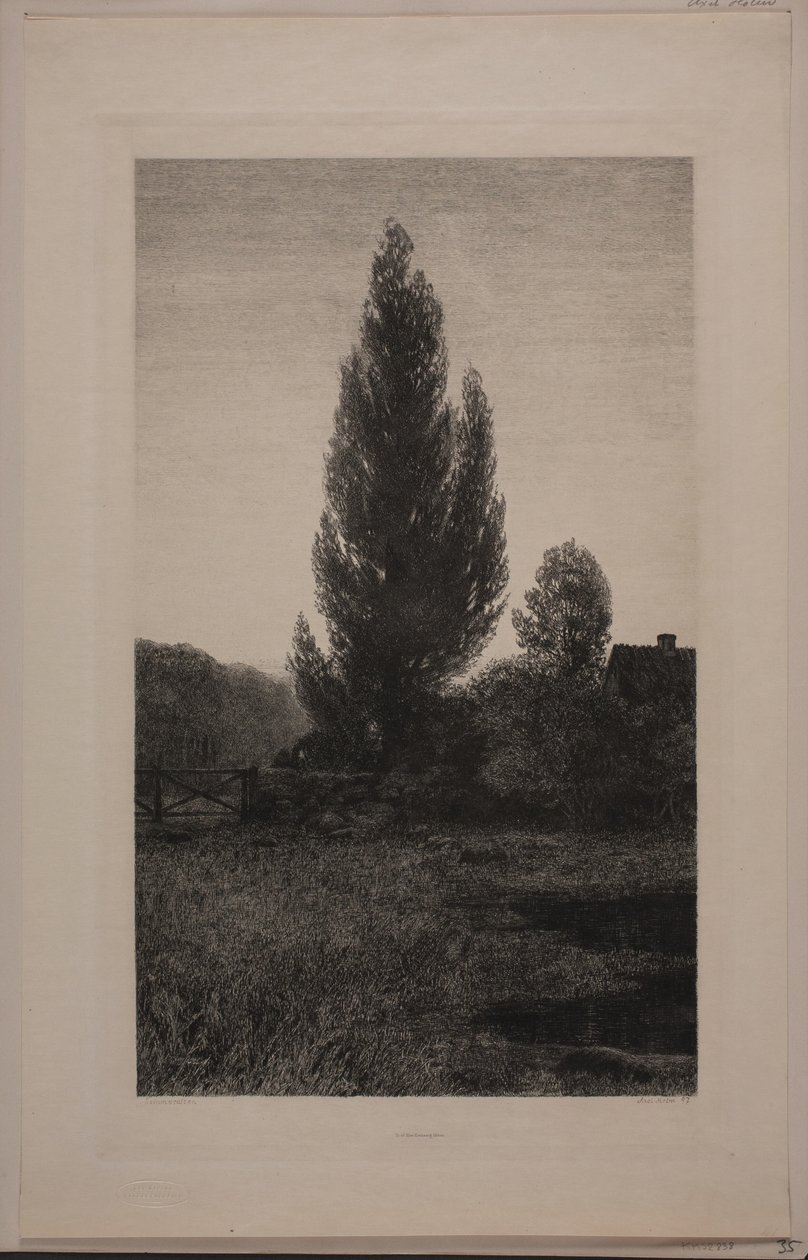Soirée d