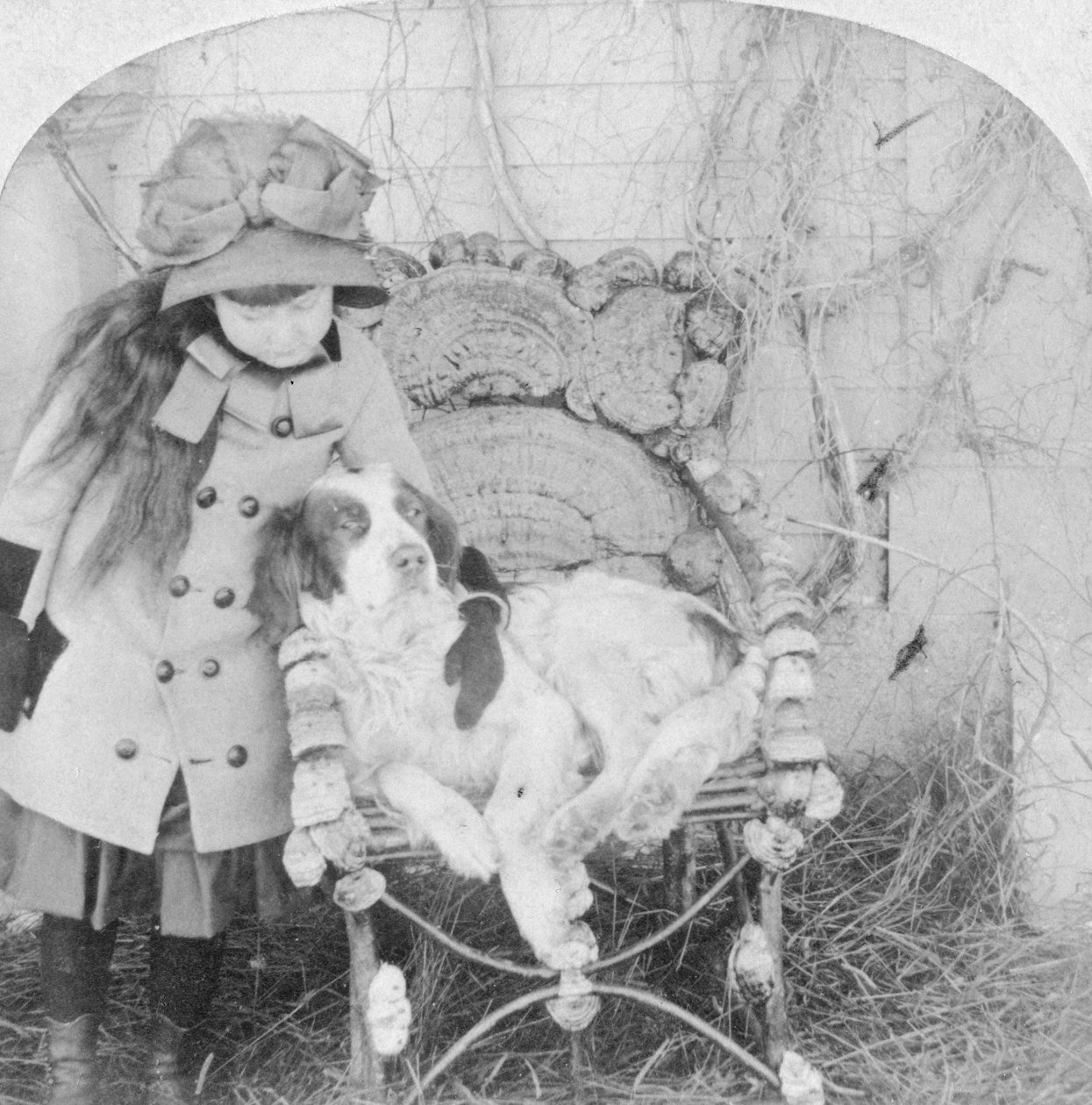 Ne peux-tu pas parler, Jack, 1882 - B. W. Kilburn