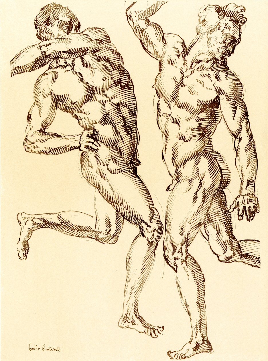 Deux études de nus masculins - Baccio Bandinelli