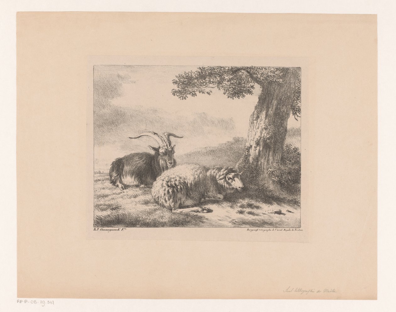Bouc et mouton - Balthasar Paul Ommeganck