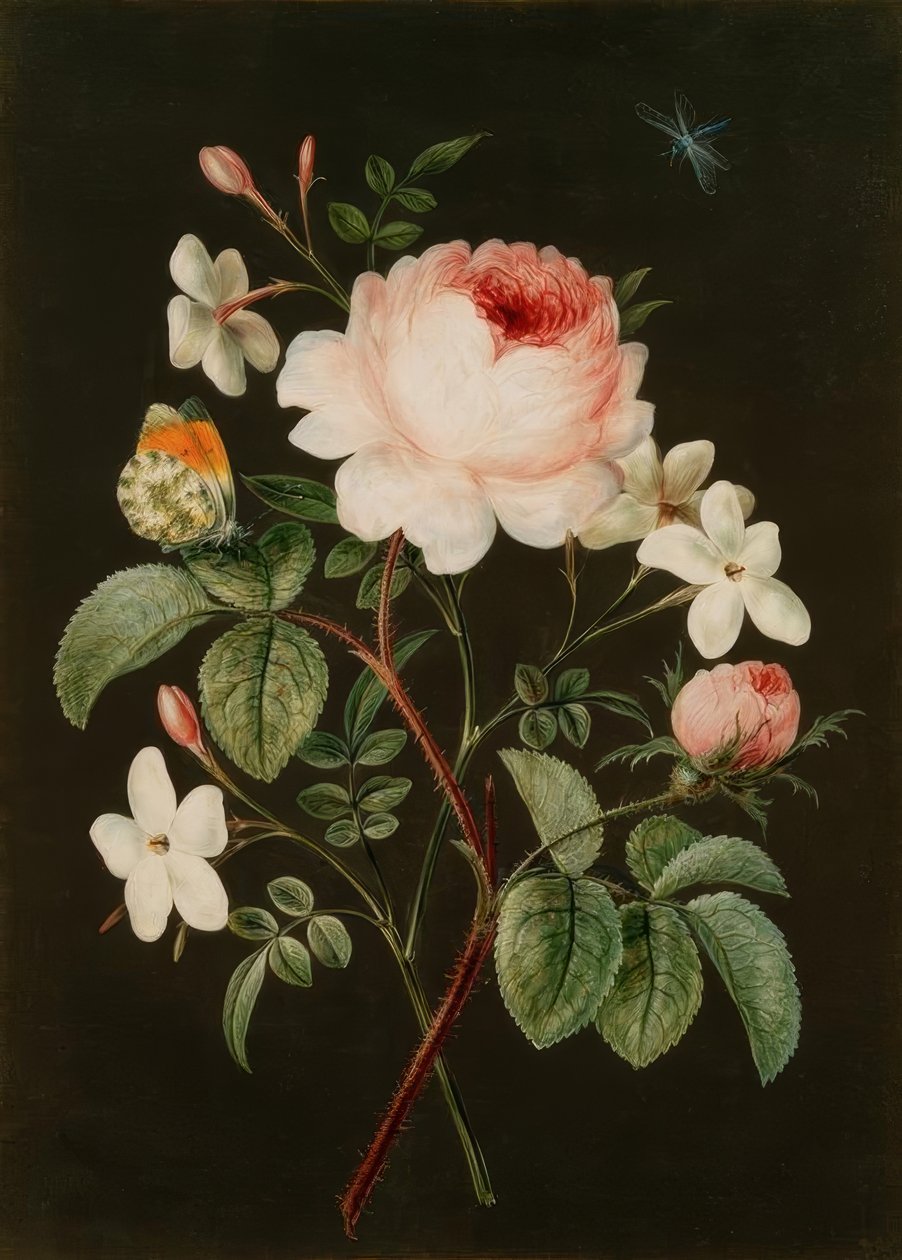 Arrangement de roses et de jasmin - Barbara Regina Dietzsch