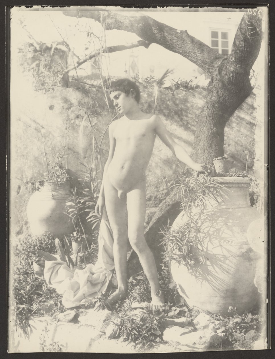 [Jeune fille nue dans un jardin] - Baron Wilhelm von Gloeden