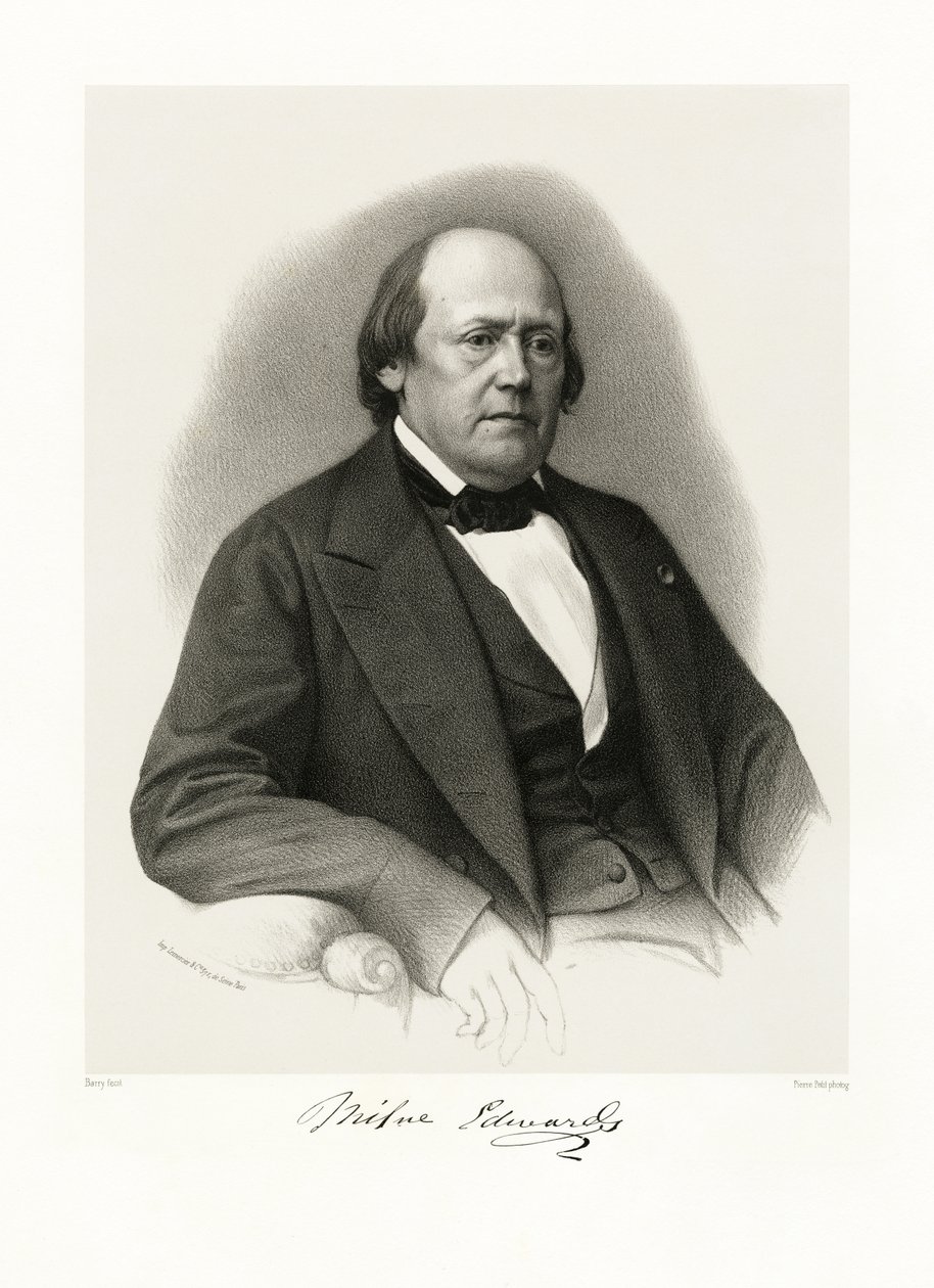 Henri Milne Edwards - Barry