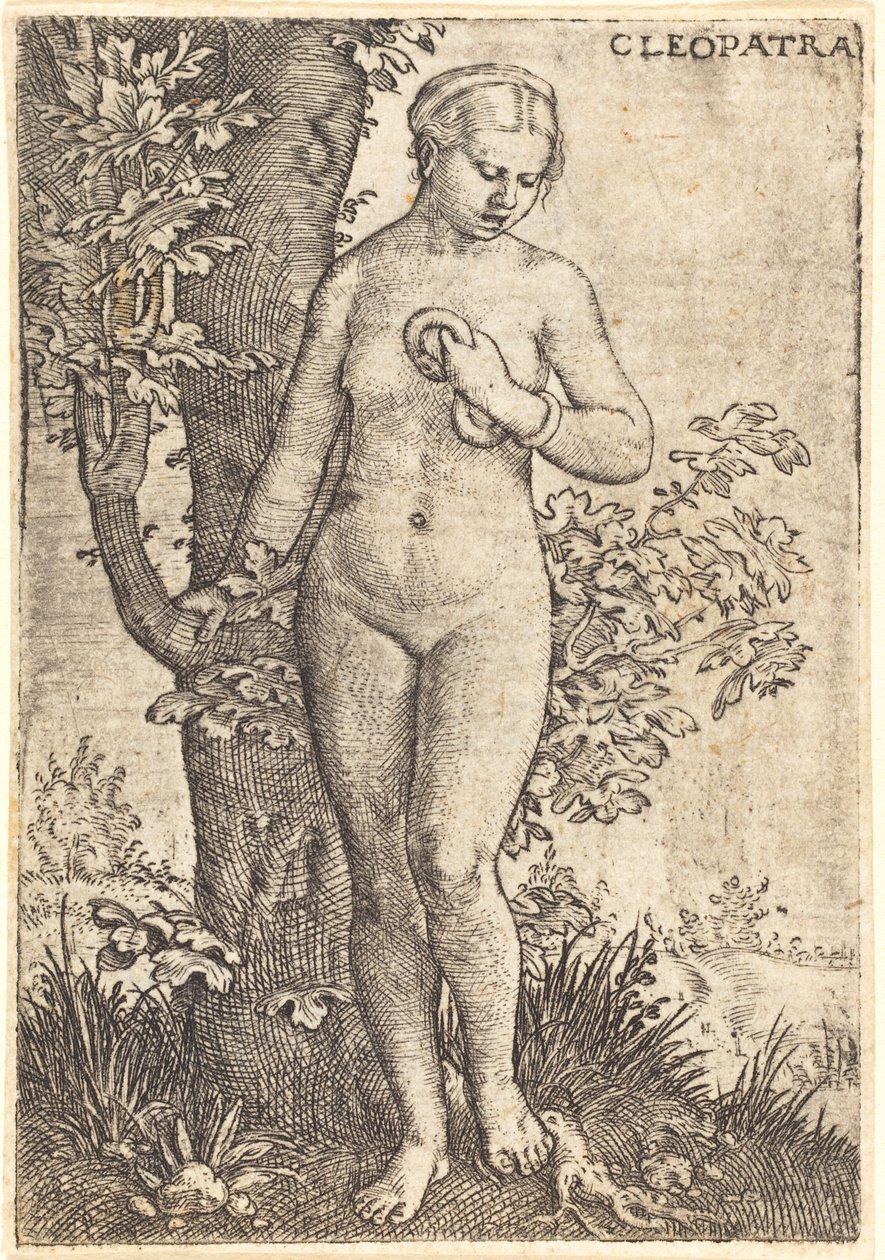 Cléopâtre - Barthel Beham
