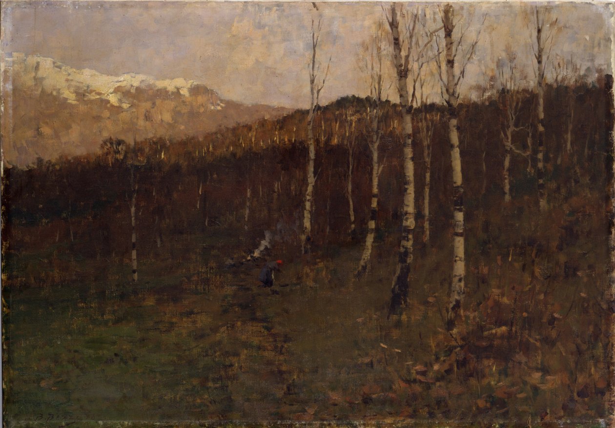 Bosco ceduo - Bartolomeo Bezzi