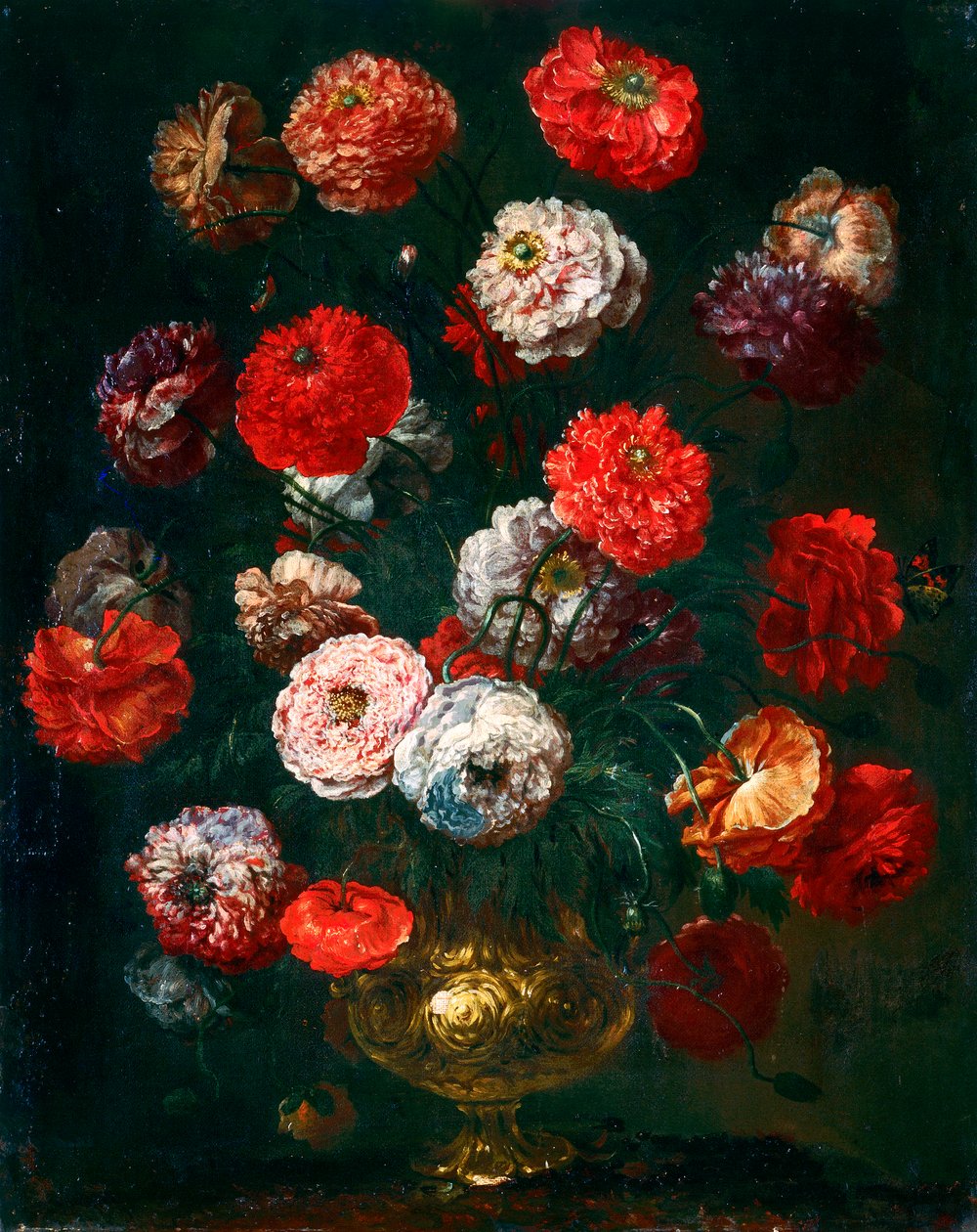 Coquelicot - Bartolomeo Bimbi