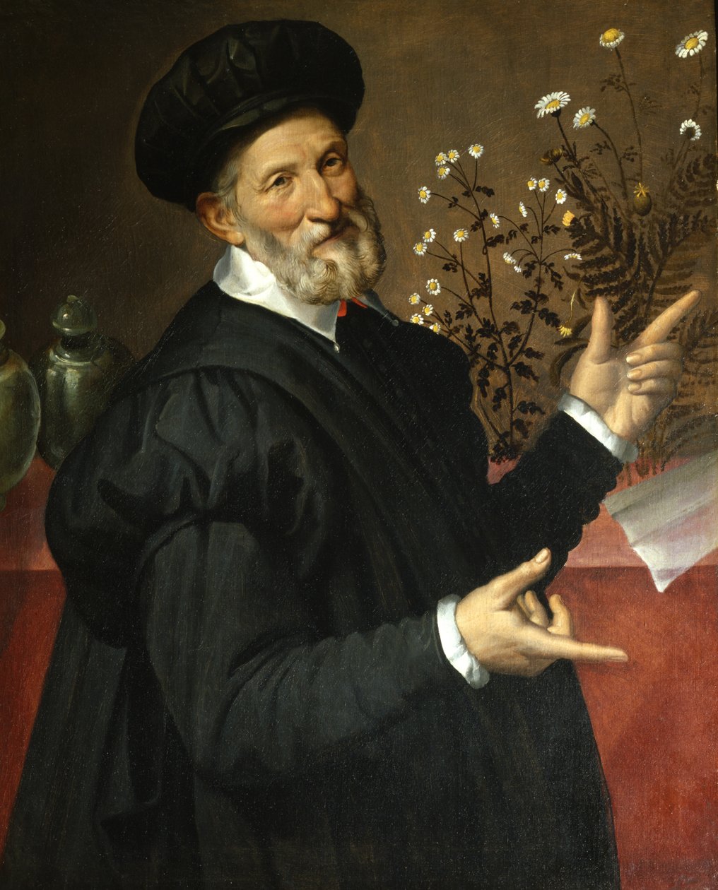 Le botaniste, 1570 - Bartolomeo Passarotti