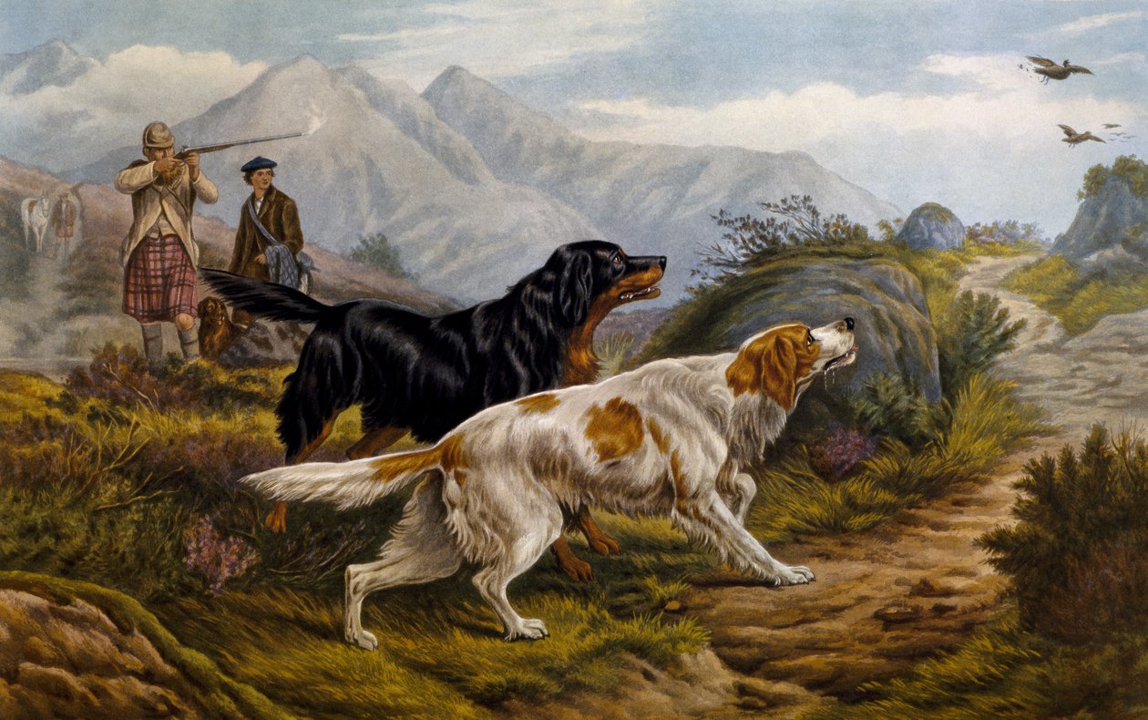 Chasse au tétras - Basil Bradley
