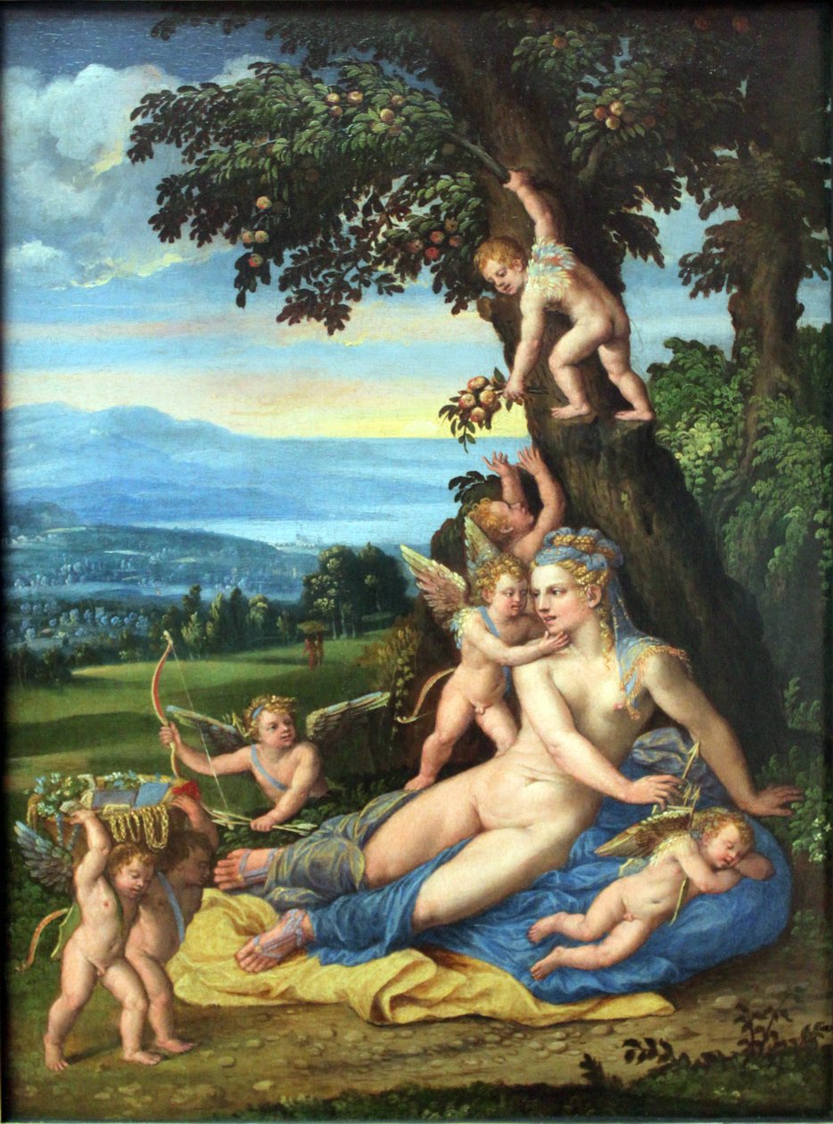 Vénus et Cupidon - Battista Dossi