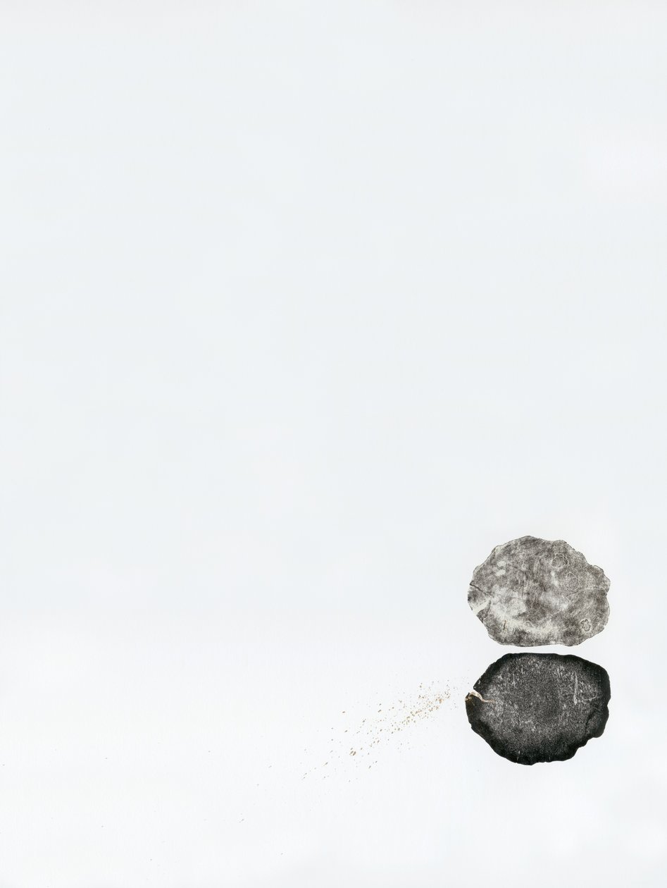 Réflexion, 2014 - Bella Larsson