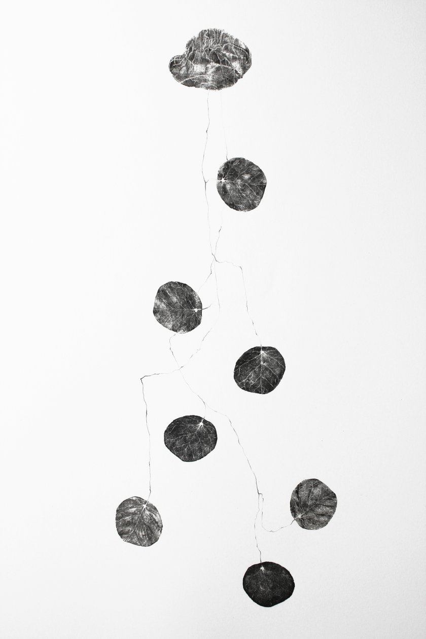 Vaisseau, 2014 - Bella Larsson