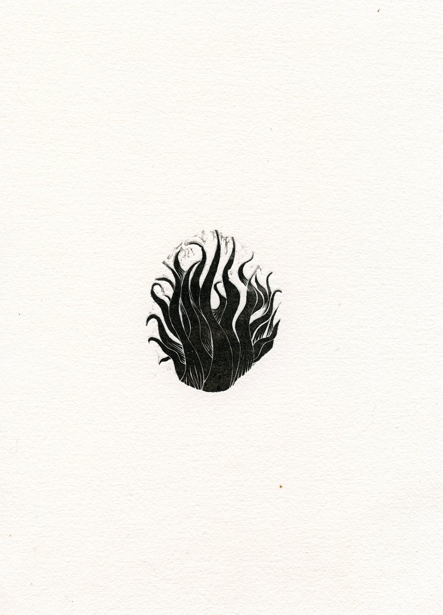 Feu, 2017 - Bella Larsson