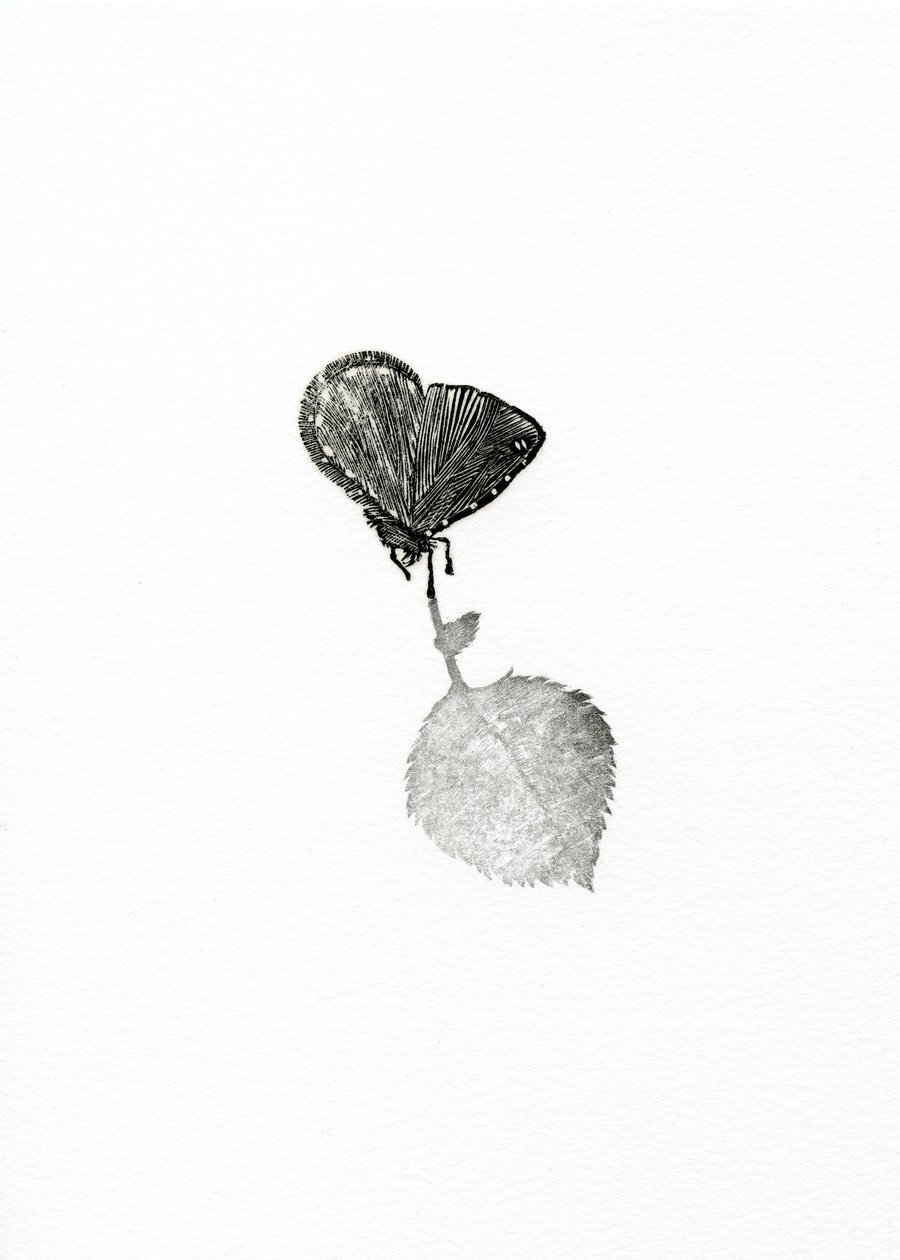 Suspense, 2014 - Bella Larsson