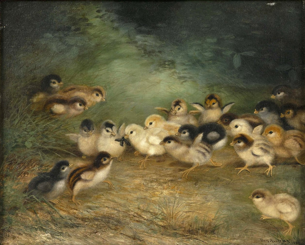 Vingt-et-un poussins et un insecte - Ben Austrian