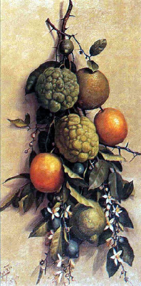 Fruits - Benedito Calixto