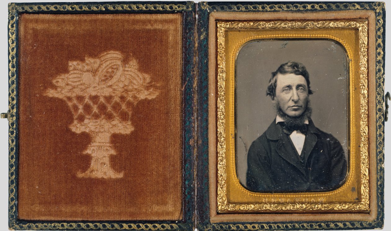 Henry David Thoreau - Benjamin D. Maxham