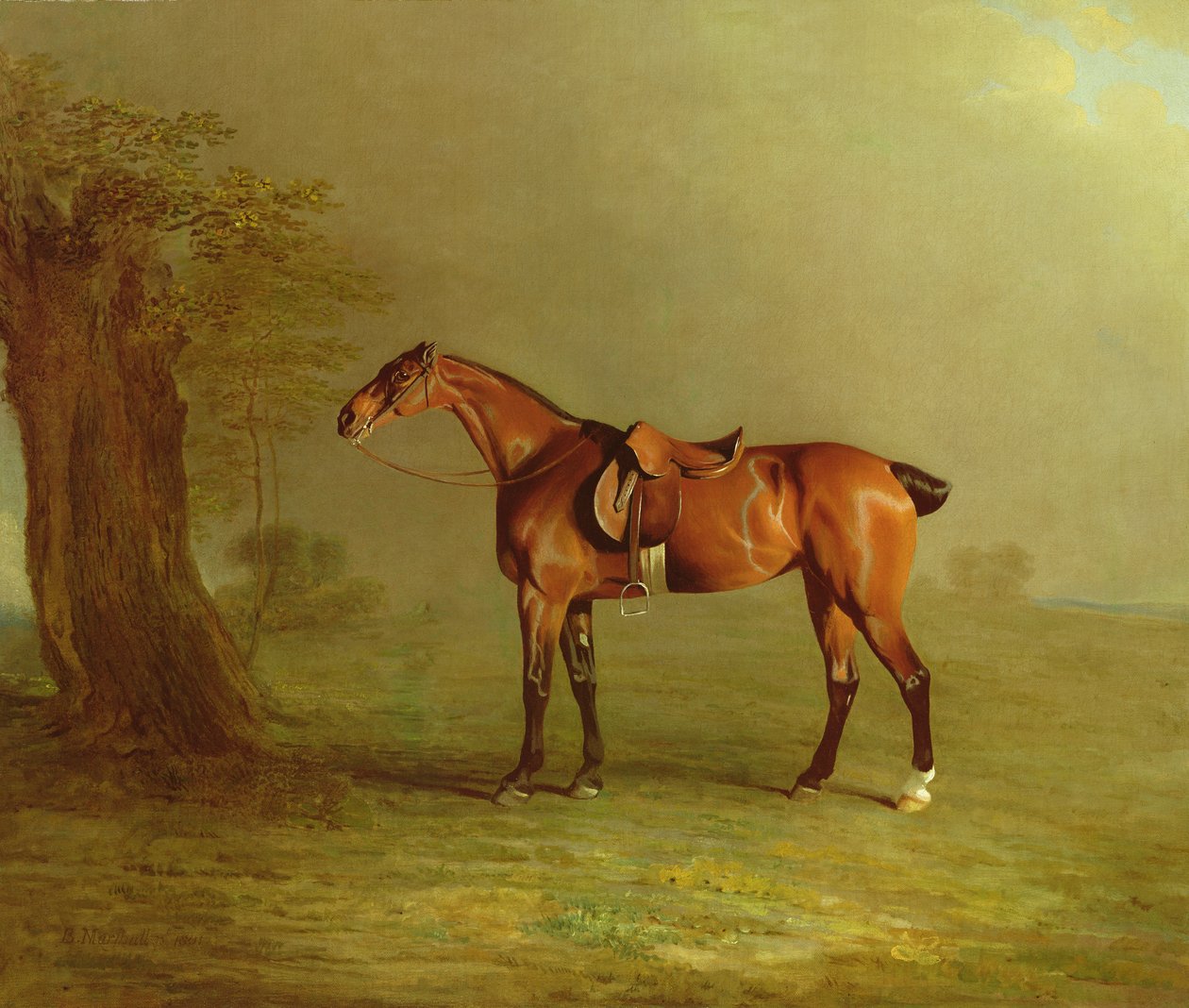 Cheval de course - Benjamin Marshall