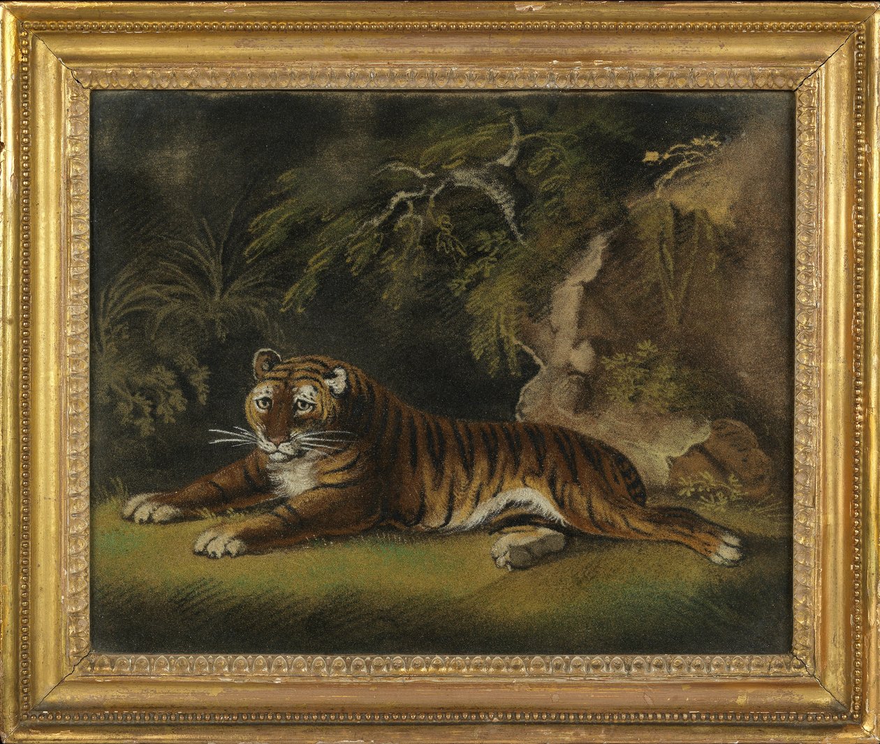 Tigre dans un paysage de jungle - Benjamin Zobel