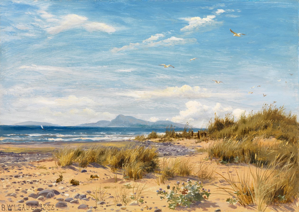 La côte du Carnarvonshire - Benjamin Williams Leader