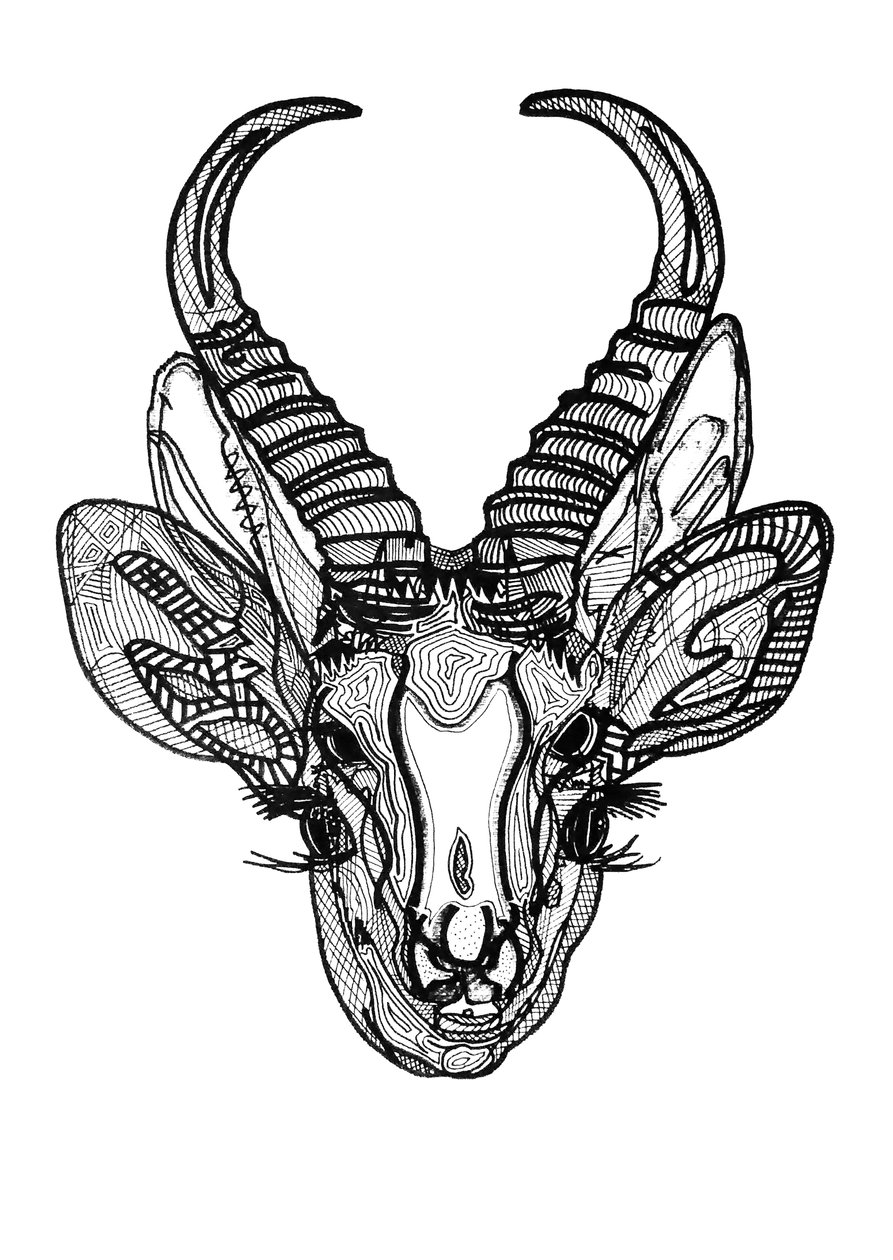 Double biche, 2019 (encre sur papier) - Benoit Erwann Boucherot