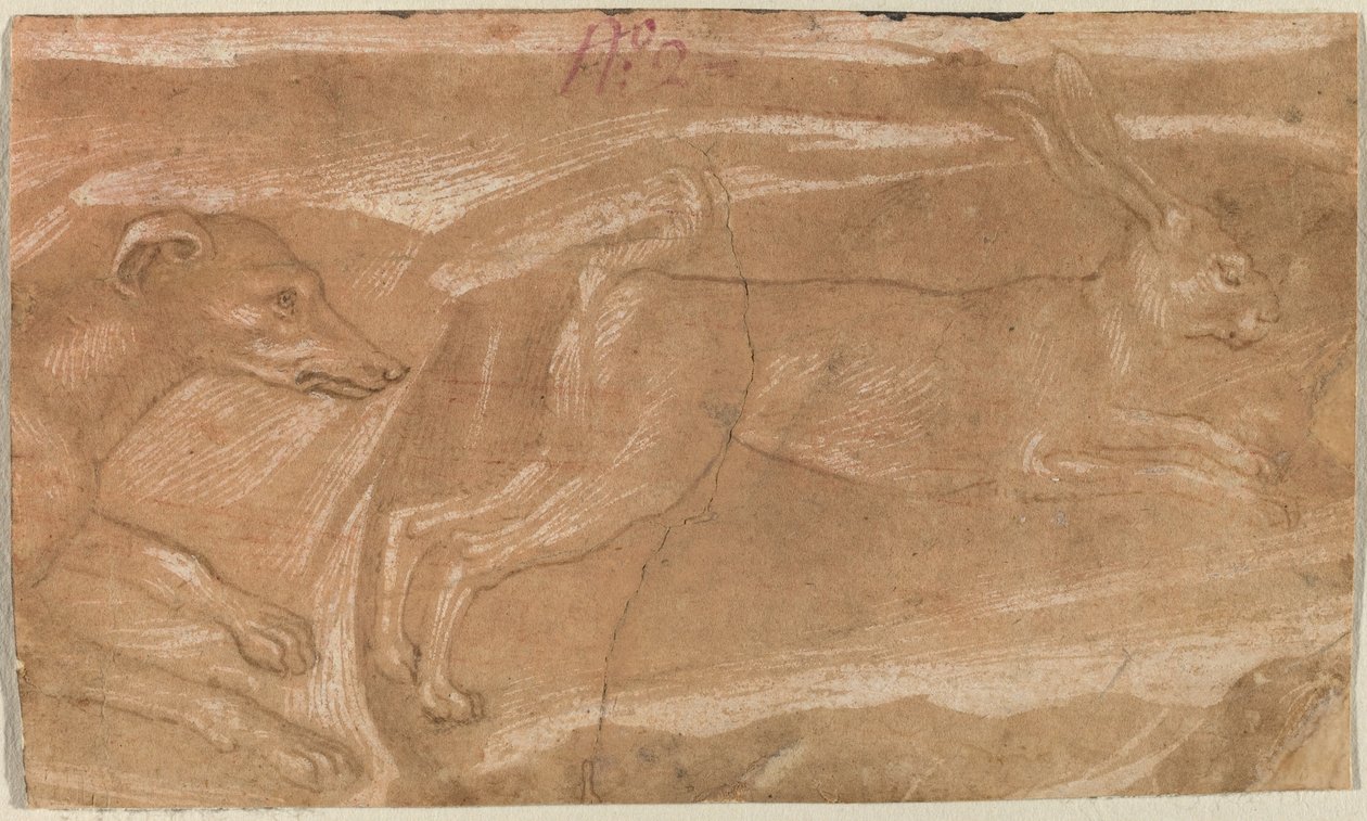 Un chien chassant un lièvre - Benozzo Gozzoli