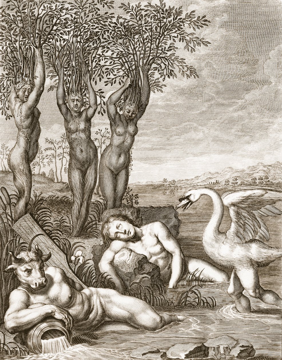Cygnus transformé en cygne et les sœurs de Phaéton en peupliers, 1731 - Bernard Picart