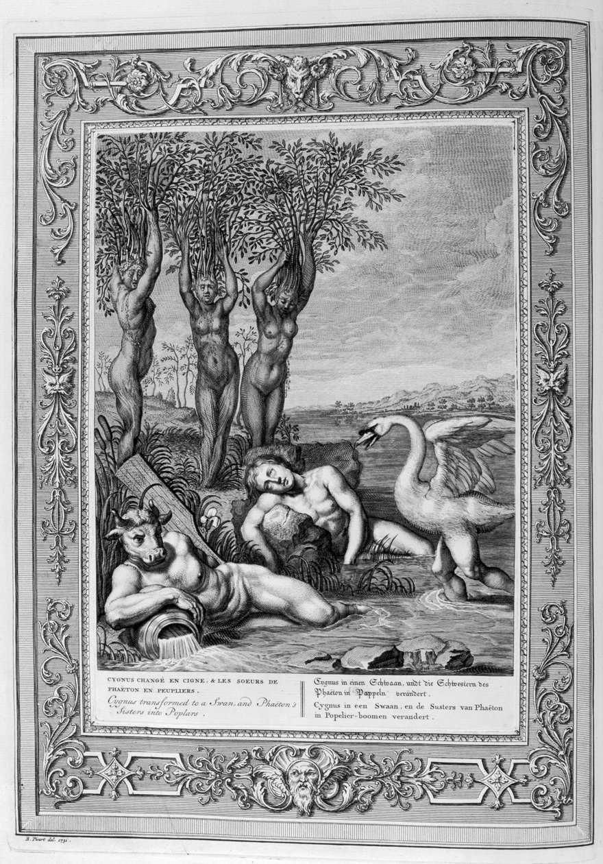 Cygnus transformé en cygne (gravure) - Bernard Picart