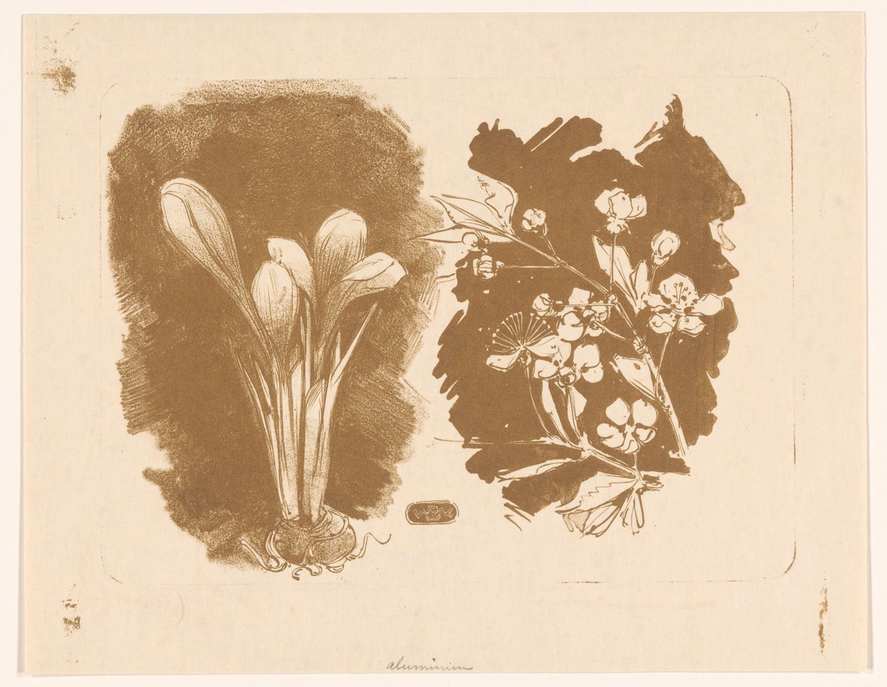 Crocus et une branche avec des fleurs - Bernard Willem Wierink