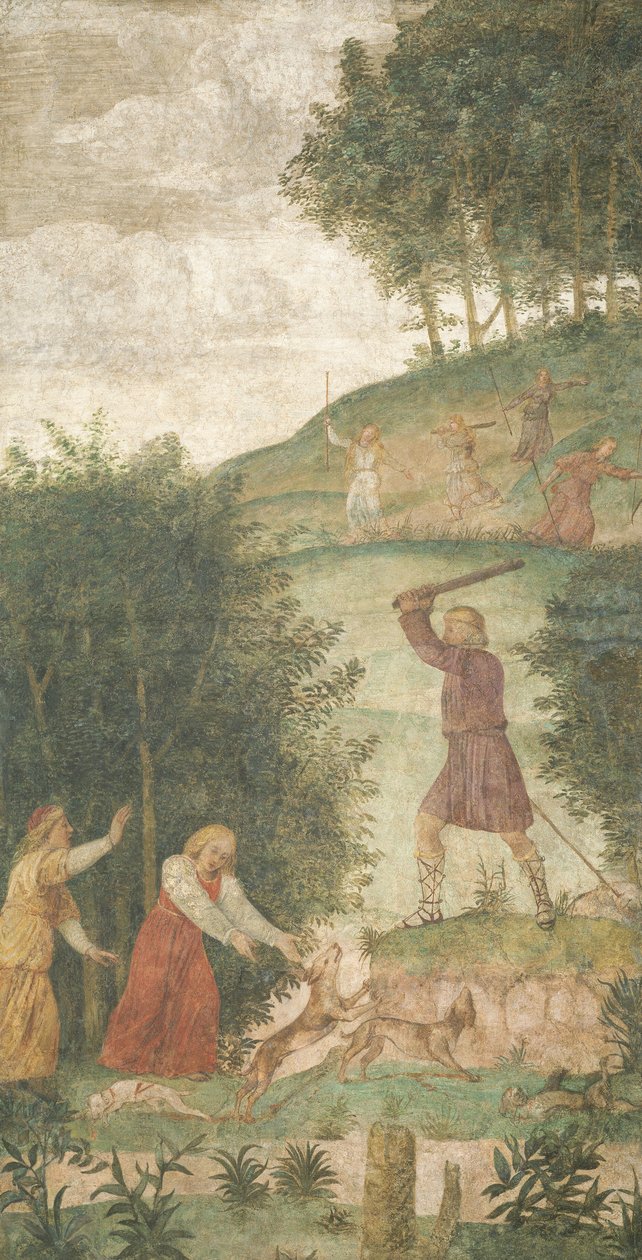 Céphale puni à la chasse - Bernardino Luini