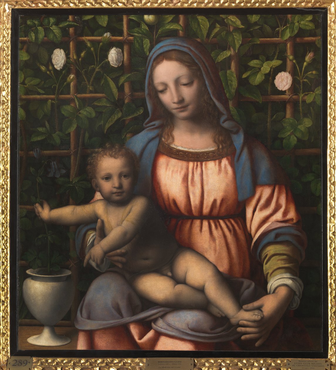 Madone et enfant (Madonna del Roseto) - Bernardino Luini