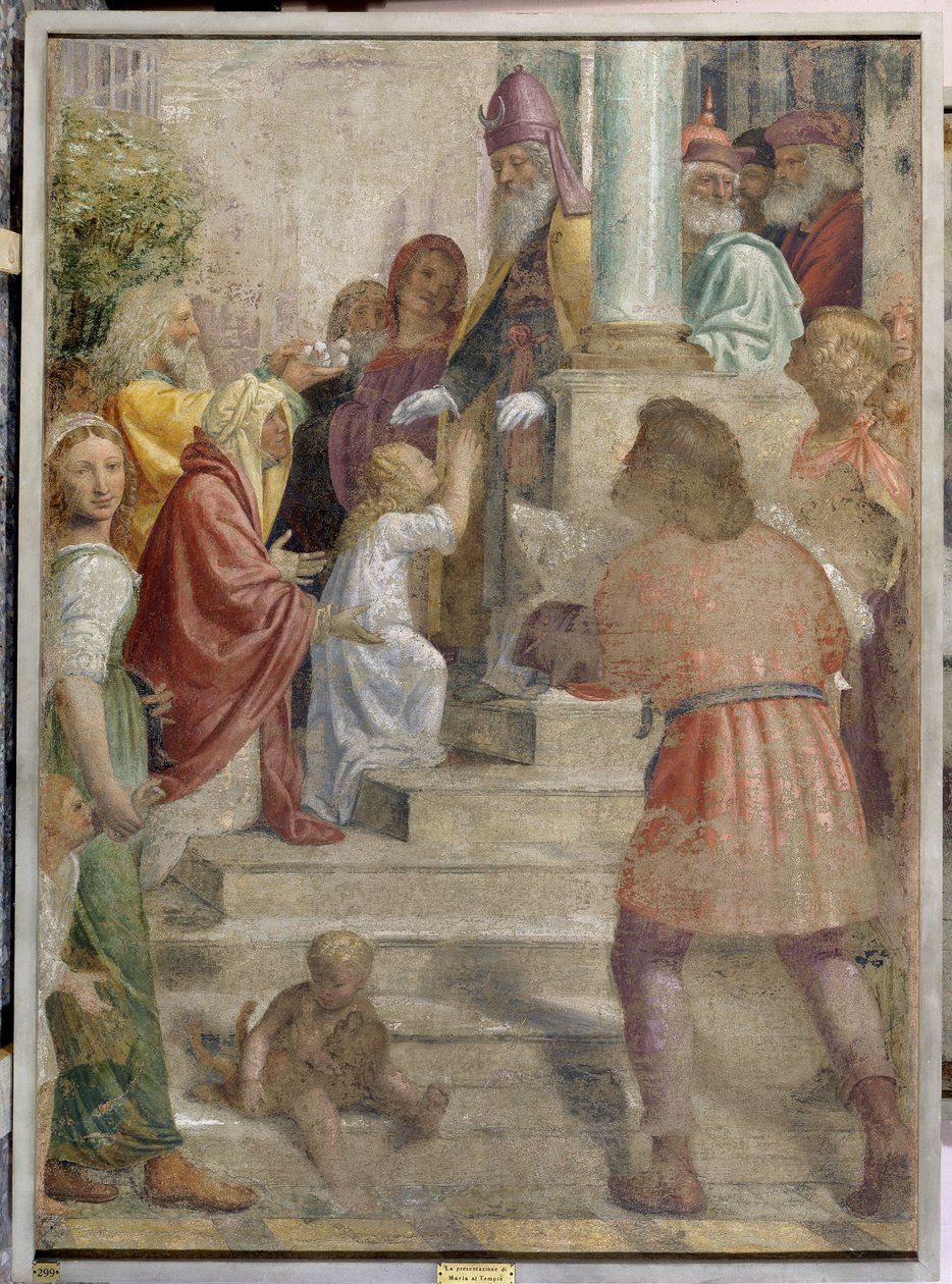 Présentation de Marie au Temple - Bernardino Luini