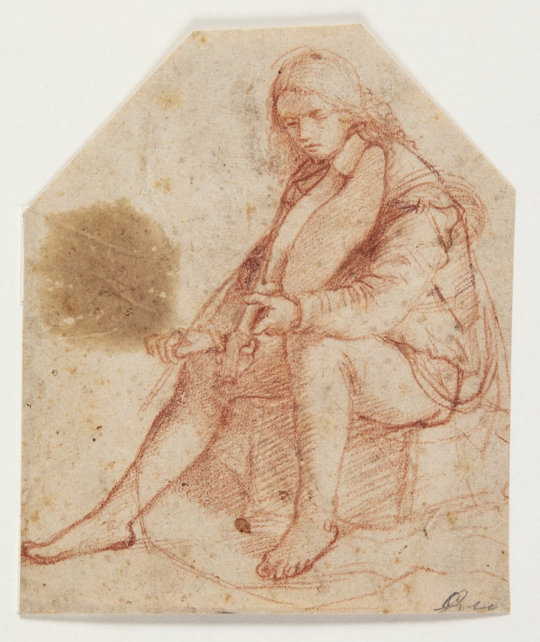Jeune homme assis avec une viole - Bernardino Luini