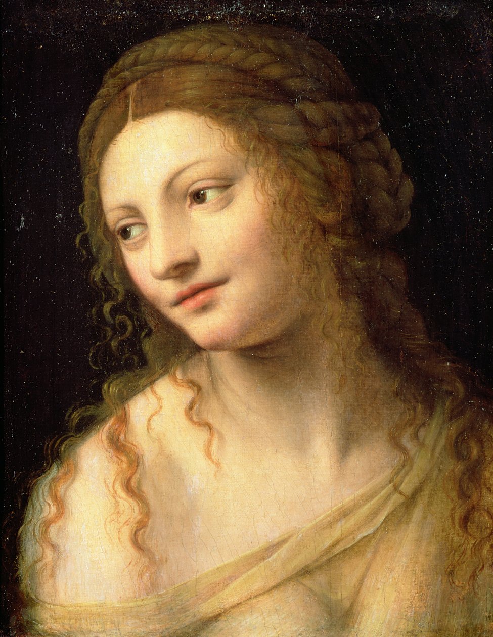 Image inconnue - Bernardino Luini