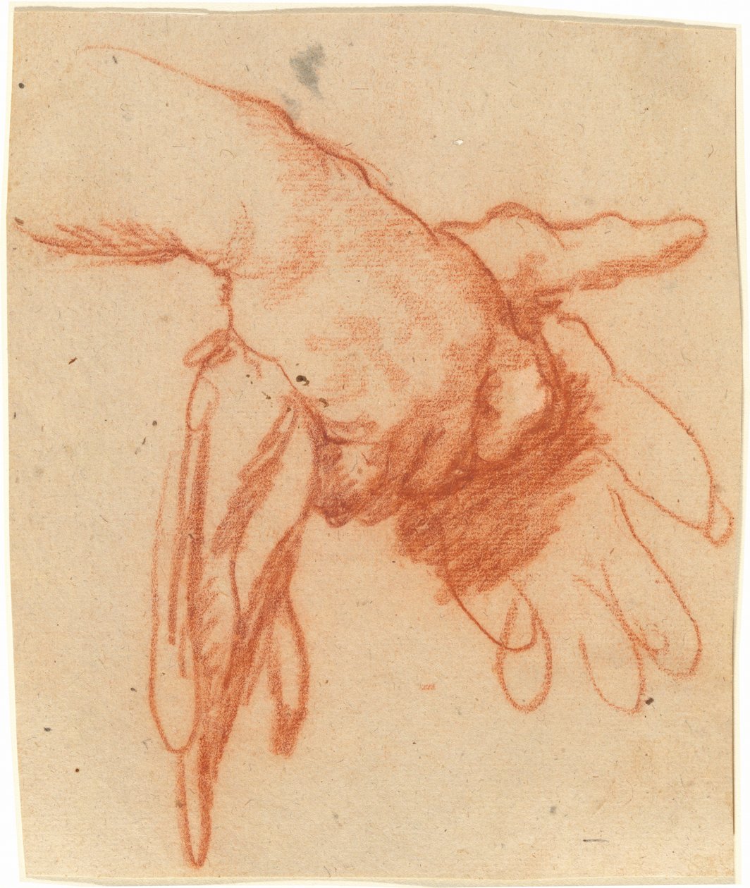Une main tenant des gants vides - Bernardo Strozzi