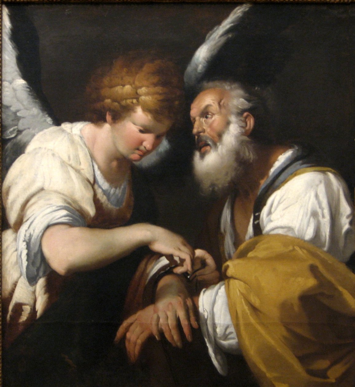 La libération de Saint-Pierre - Bernardo Strozzi