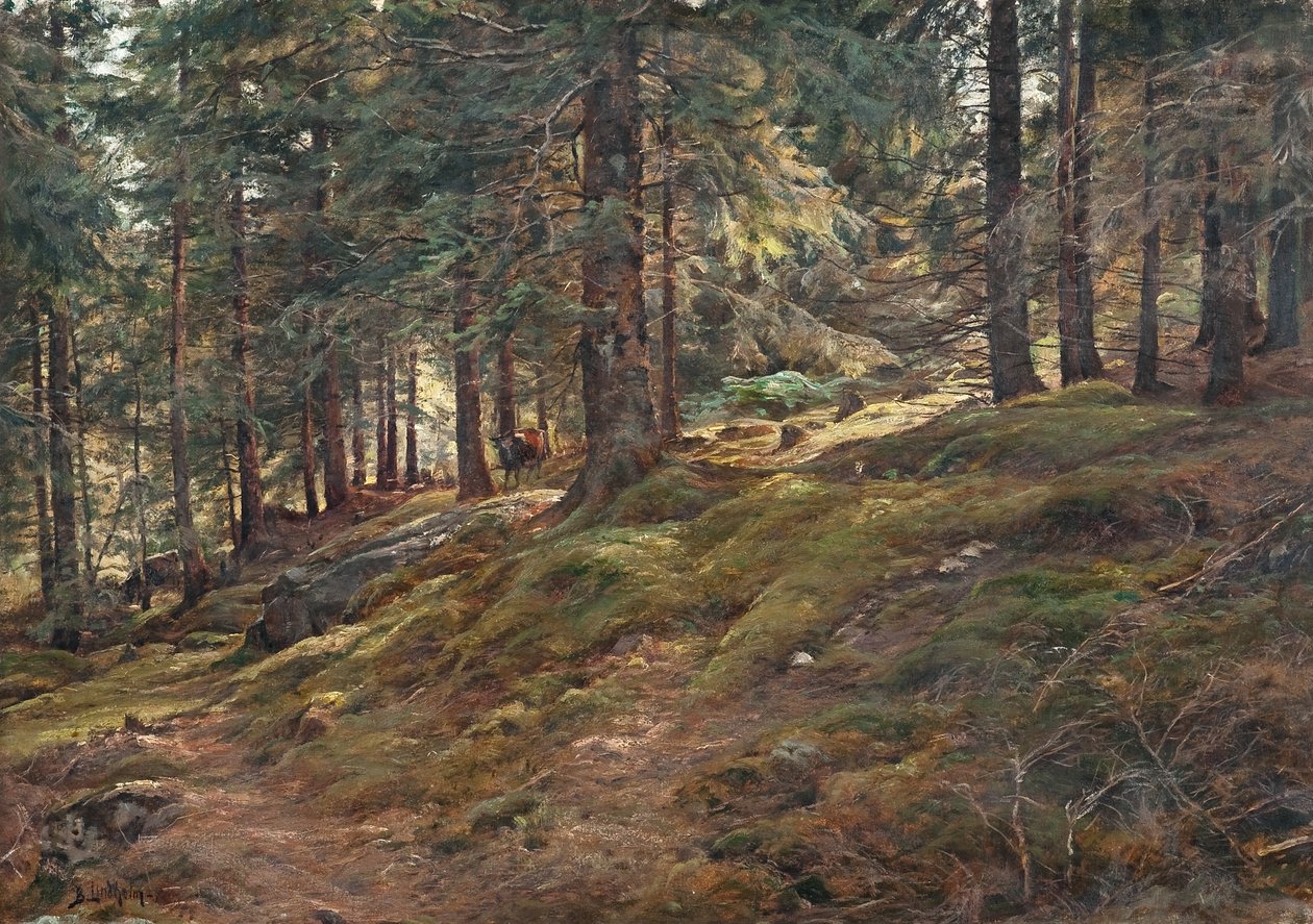 La lumière dans les bois - Berndt Lindholm