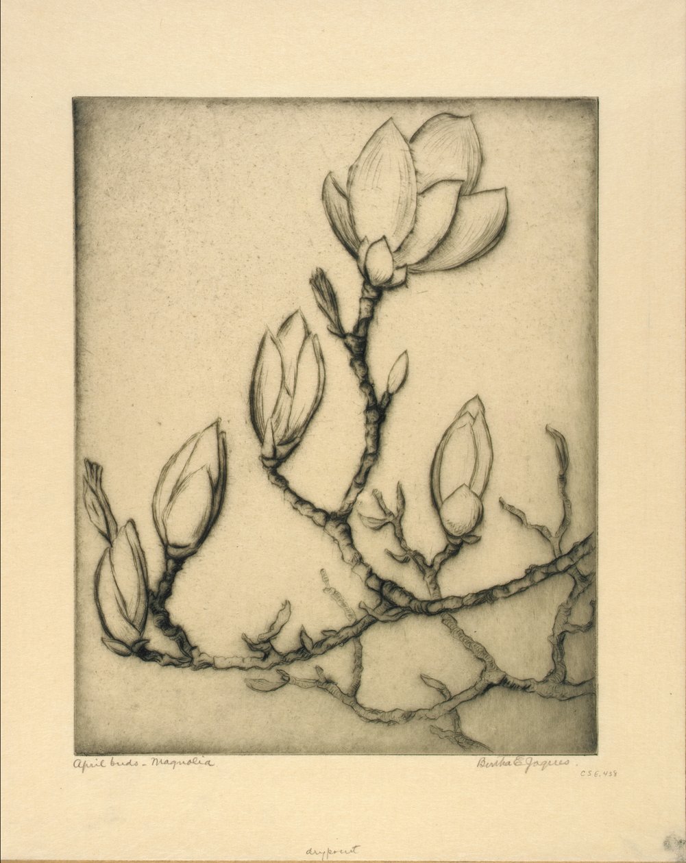 Bourgeons d