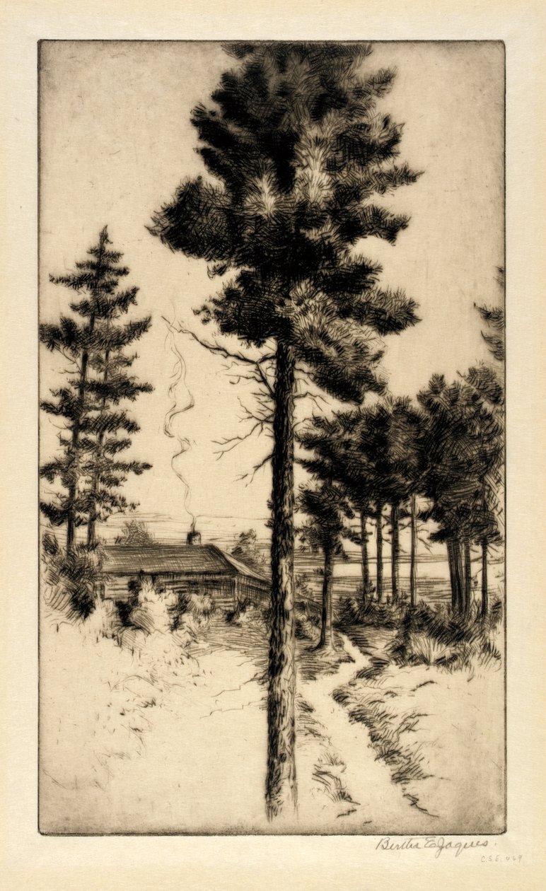 Cabin in Wilderness - Bertha E. Jaques