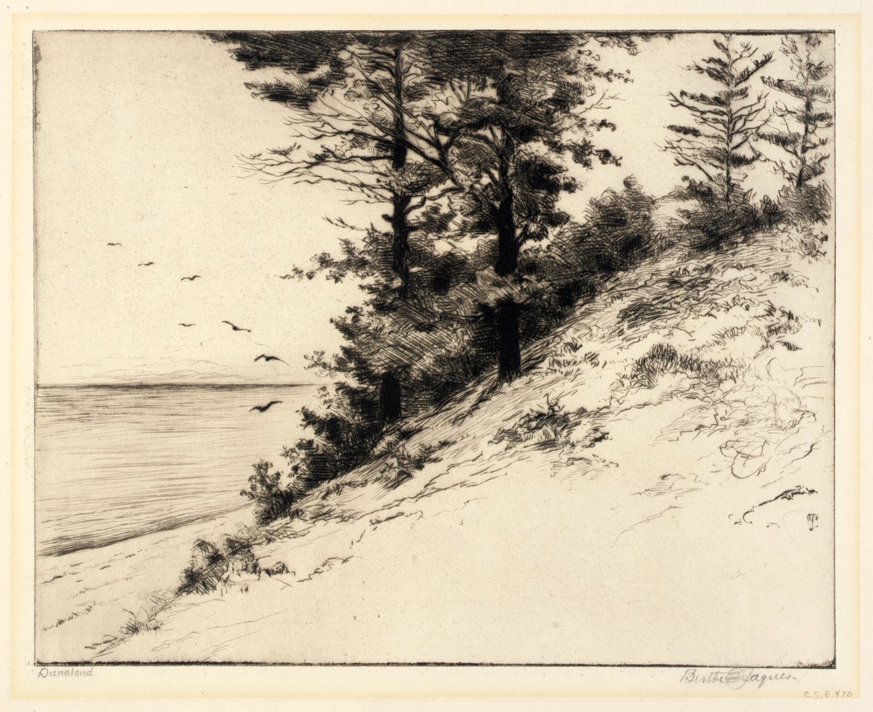 Duneland - Bertha E. Jaques