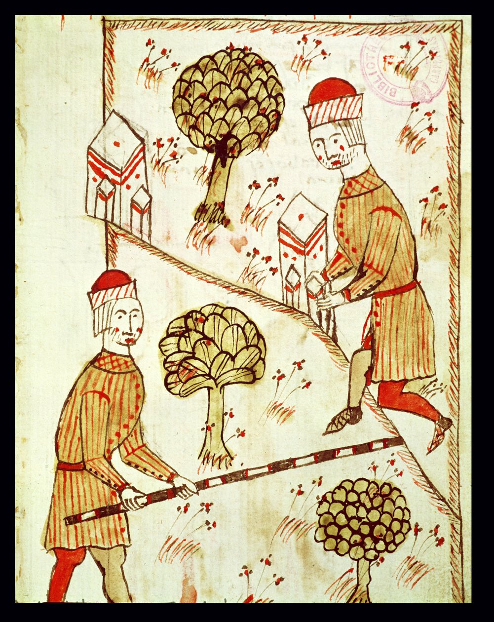 Ms 327 fol.28r Arpentage et délimitation des terres, de 