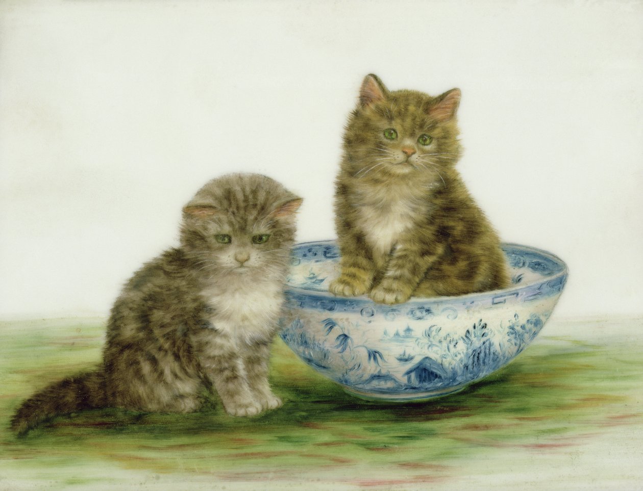 Chaton dans un bol en porcelaine bleue - Bessie Bamber