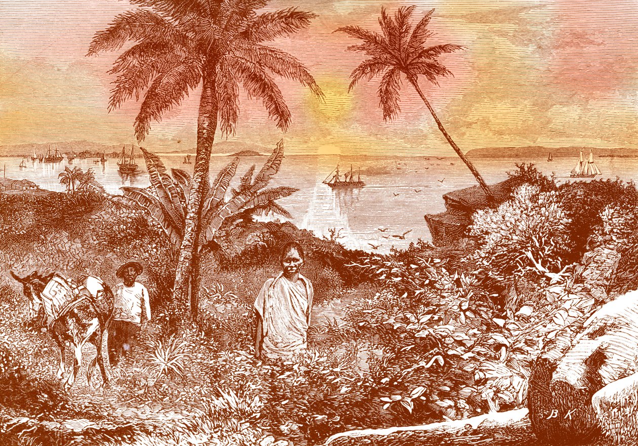 La baie de Panama - Bohuslav Kroupa
