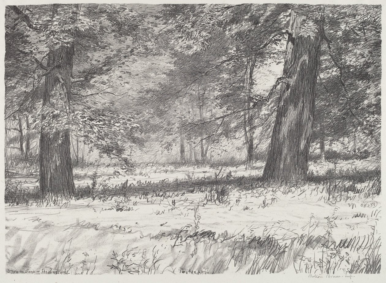 Deux érables - Bolton Brown
