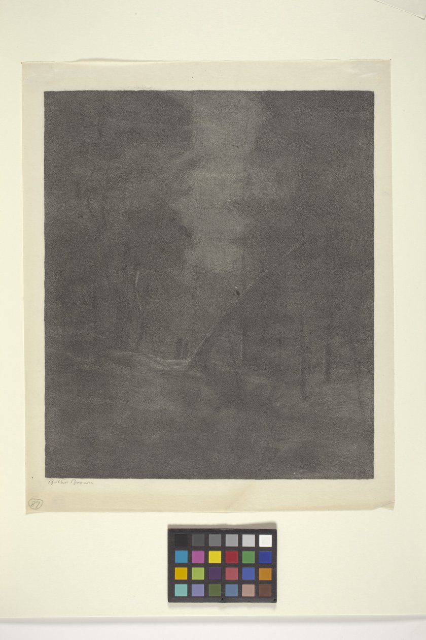 Bois Au Clair De Lune - Bolton Coit Brown